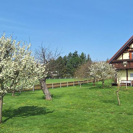 Ferienwohnung Zur Saaleaue Wettin ภายนอก รูปภาพ