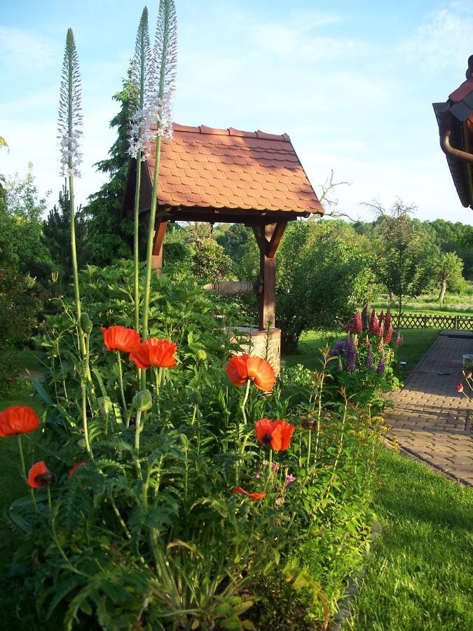 Ferienwohnung Zur Saaleaue Wettin ภายนอก รูปภาพ