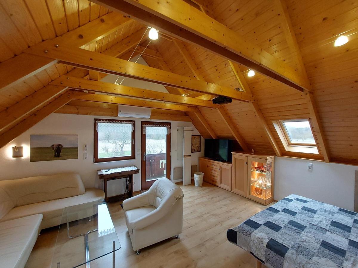 Ferienwohnung Zur Saaleaue Wettin ภายนอก รูปภาพ