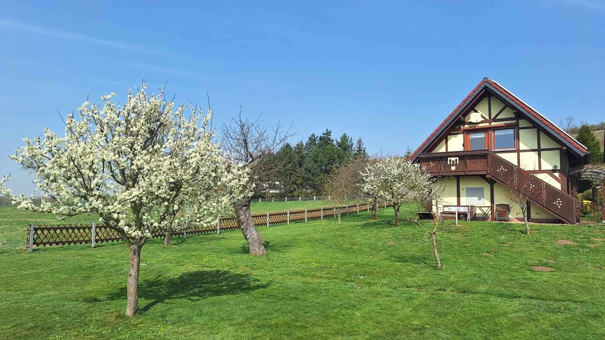 Ferienwohnung Zur Saaleaue Wettin ภายนอก รูปภาพ